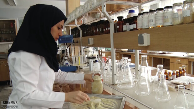Iran producing pharmaceutical raw materials, medicine in Russia: official