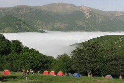 Shahroud Cloud Forest inscribed in UNESCO World Heritage List