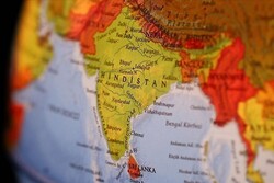 Hindistan'dan Trump öncesi maymun önlemleri