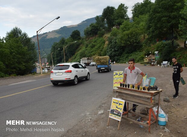 رونق فروش تمشک و آلوچه در گردنه کوهستانی حیران