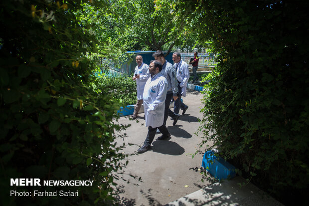 بازدید جمعی از مدیران خبرگزاری مهر از کارخانه فیروز