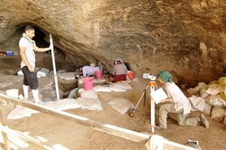 Remains of a Neanderthal-era horse found in Iran