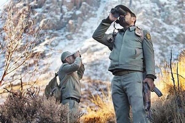 ۸۶۰ نفر در سازمان جنگل‌ها استخدام می‌شوند 