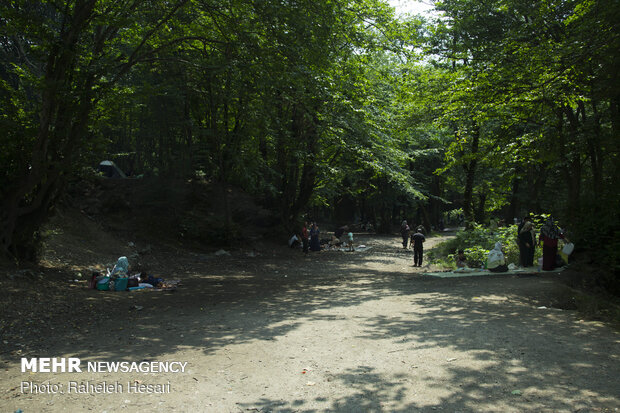 خنکای تابستان در گلستان