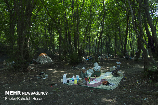 خنکای تابستان در گلستان