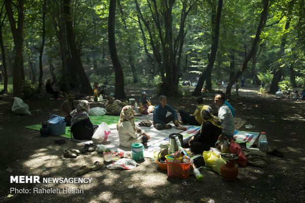 خنکای تابستان در گلستان