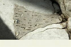 Rare dovetail-joints found in UNESCO-tagged Pasargadae