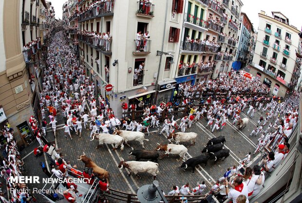 جشنواره سان فرمین در اسپانیا‎