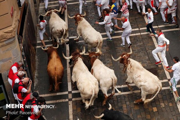 جشنواره سان فرمین در اسپانیا‎