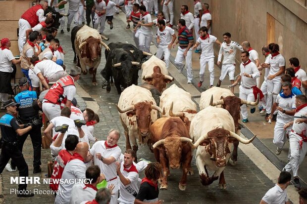 جشنواره سان فرمین در اسپانیا‎