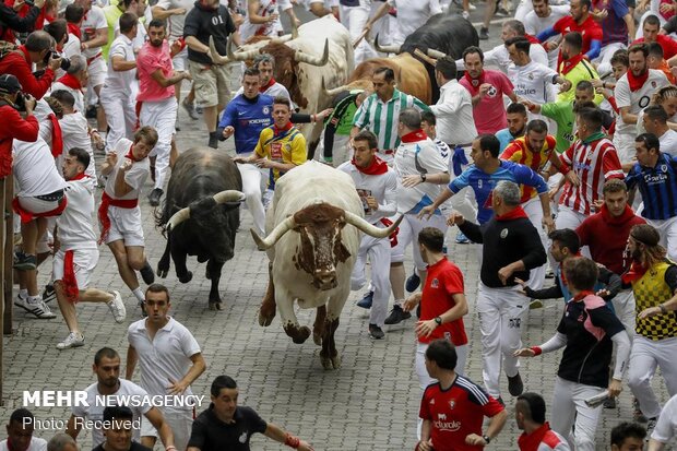 جشنواره سان فرمین در اسپانیا‎