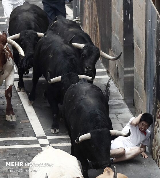 جشنواره سان فرمین در اسپانیا‎