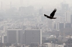 Summer heats foster air pollution spikes in Tehran