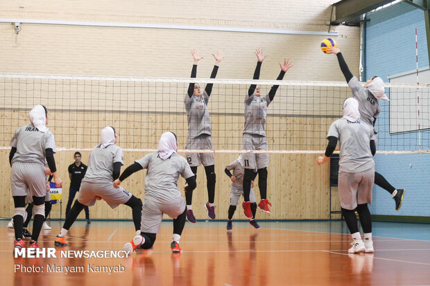 Training session of natl. Iranian women's volleyball team