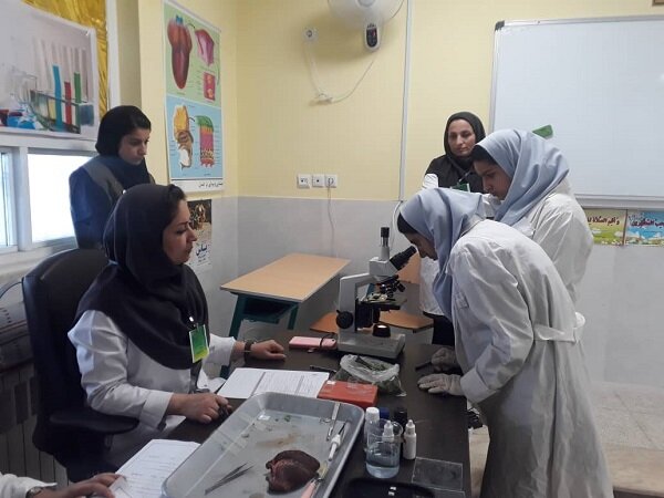حضور دانش آموزان کرمانی در جشنواره‌های علمی ۶۷ درصد افزایش یافت