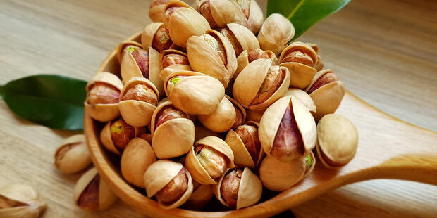 220K tons of pistachios to be harvested in Iran