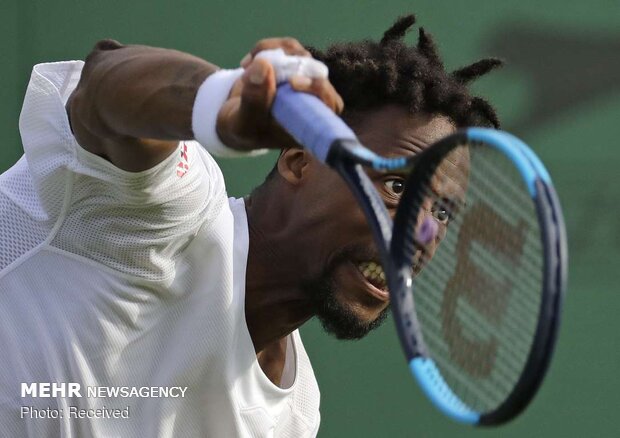 Wimbledon 2019 tenis turnuvasından fotoğraflar