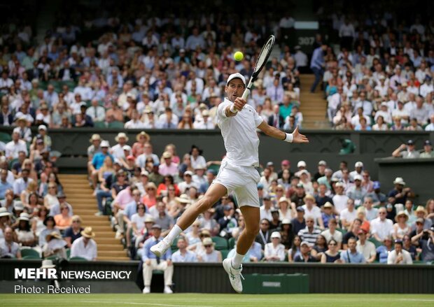 Wimbledon 2019 tenis turnuvasından fotoğraflar