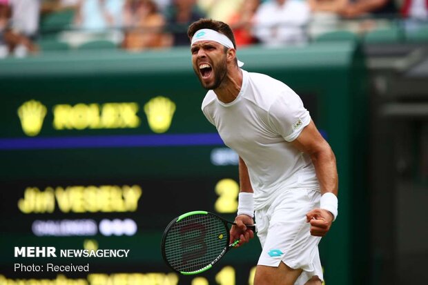 Wimbledon 2019 tenis turnuvasından fotoğraflar