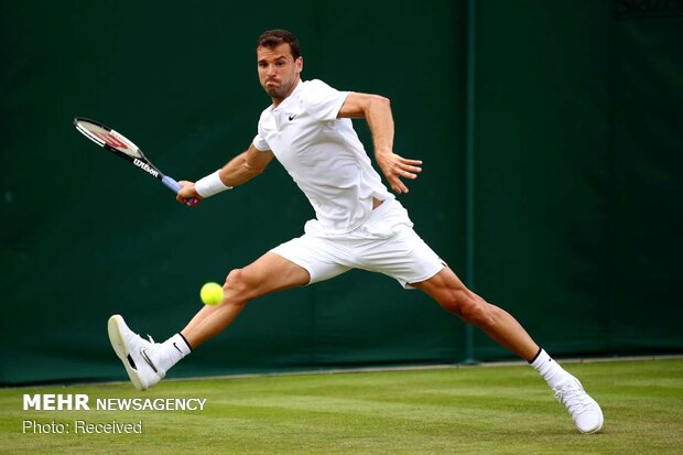 Wimbledon 2019 tenis turnuvasından fotoğraflar