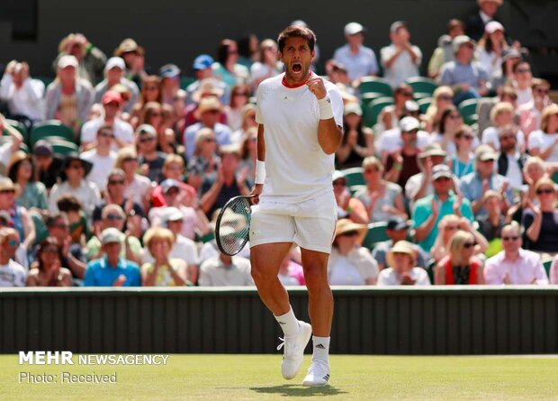 Wimbledon 2019 tenis turnuvasından fotoğraflar