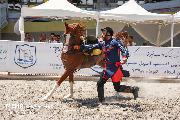 Arap Atı Festivali 