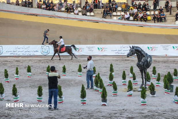 Tabriz hosts Arabian Purebred Horse Beauty Festival