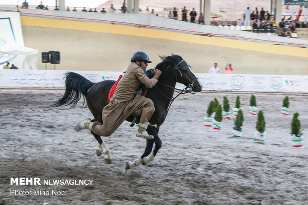 Tabriz hosts Arabian Purebred Horse Beauty Festival