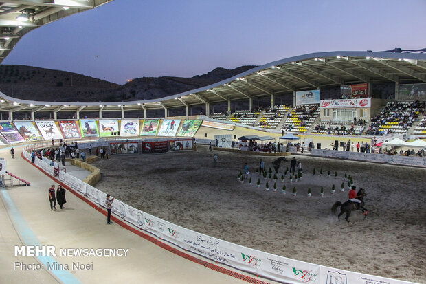 Tabriz hosts Arabian Purebred Horse Beauty Festival