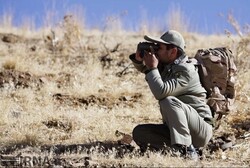 Defects still challenge law on upholding rangers’ right