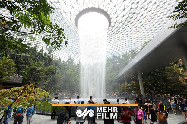 اقدام جالب و خلاق فرودگاهی در سنگاپور برای کاهش مصرف برق