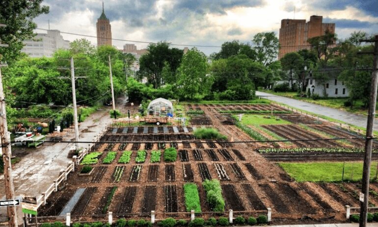 urban agriculture business plan