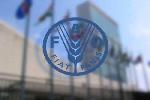 FAO Food Price Index rises for fourth consecutive month, with prices of most commonly-traded food commodities up
