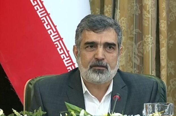 Iran increasing stockpile of enriched uranium, number of centrifuges: Kamalvandi