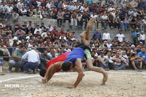 مسابقات المصارعة  المحلية  في محافظة "مازندران"