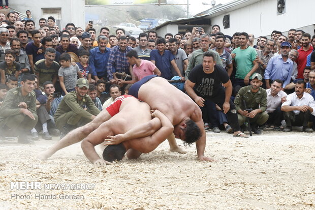 مسابقات المصارعة  المحلية  في محافظة "مازندران"