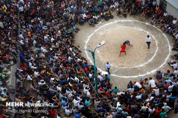 ۳۰ مسابقه کشتی لوچو در مازندران برگزار شد