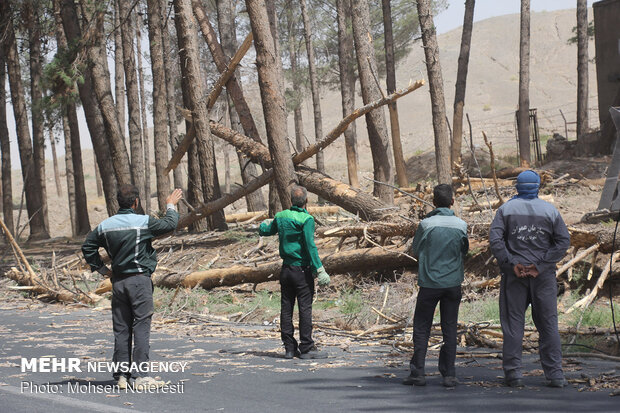 Storm of dusts incur serious damages in Birjand