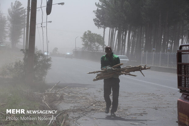 Storm of dusts incur serious damages in Birjand