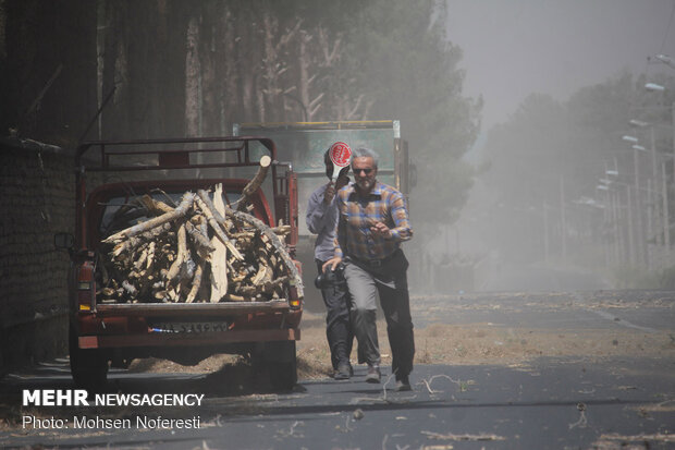 Storm of dusts incur serious damages in Birjand