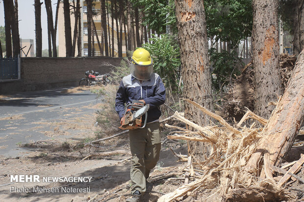 Storm of dusts incur serious damages in Birjand