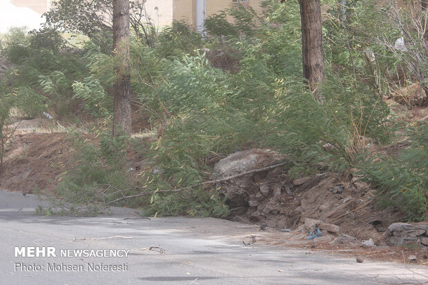 Storm of dusts incur serious damages in Birjand