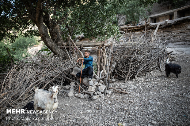 مسلم 25 ساله از اهالی روستای زرگ به چوپانی و کشاورزی مشغول است