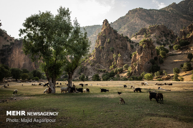 زندگی در روستاهای منطقه موگویی