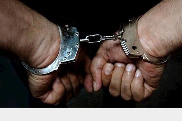 دستگیری ۸۸ خرده فروش مواد مخدر و سارق در «دلفان»