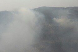 ۶ فقره آتش سوزی در جنگل های مازندران رخ داد