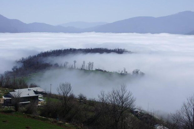 غفلت از گنجینههای زیست محیطی هیرکان/اکوتوریسم گلستان متولی ندارد