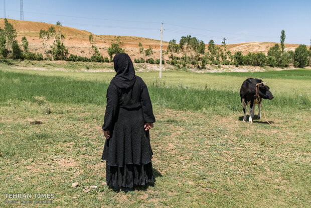 Imam Khomeini Relief Foundation provides financial stability in Charmahl and Bakhtiari province