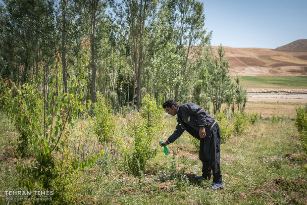 Imam Khomeini Relief Foundation provides financial stability in Charmahl and Bakhtiari province