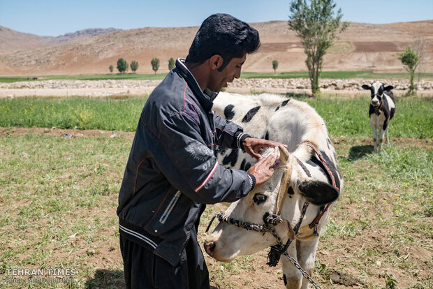 Imam Khomeini Relief Foundation provides financial stability in Charmahl and Bakhtiari province